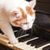 ptits-bateaux-musique-animaux